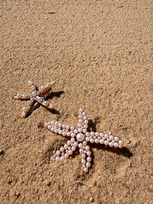 italienische mode kleiber werksverkauf Zwei perlengeschmückte Seesterne liegen im Sand am Strand.